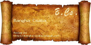 Bangha Csaba névjegykártya